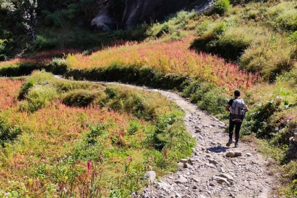 Har Ki Dun Trek Difficulty Level Explained for Beginners (Real Talk Edition) Har Ki Dun