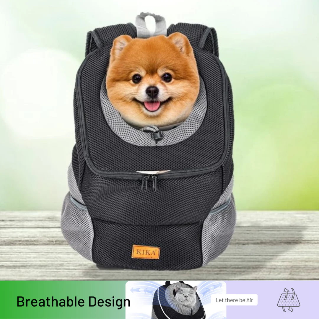 small dog in bag