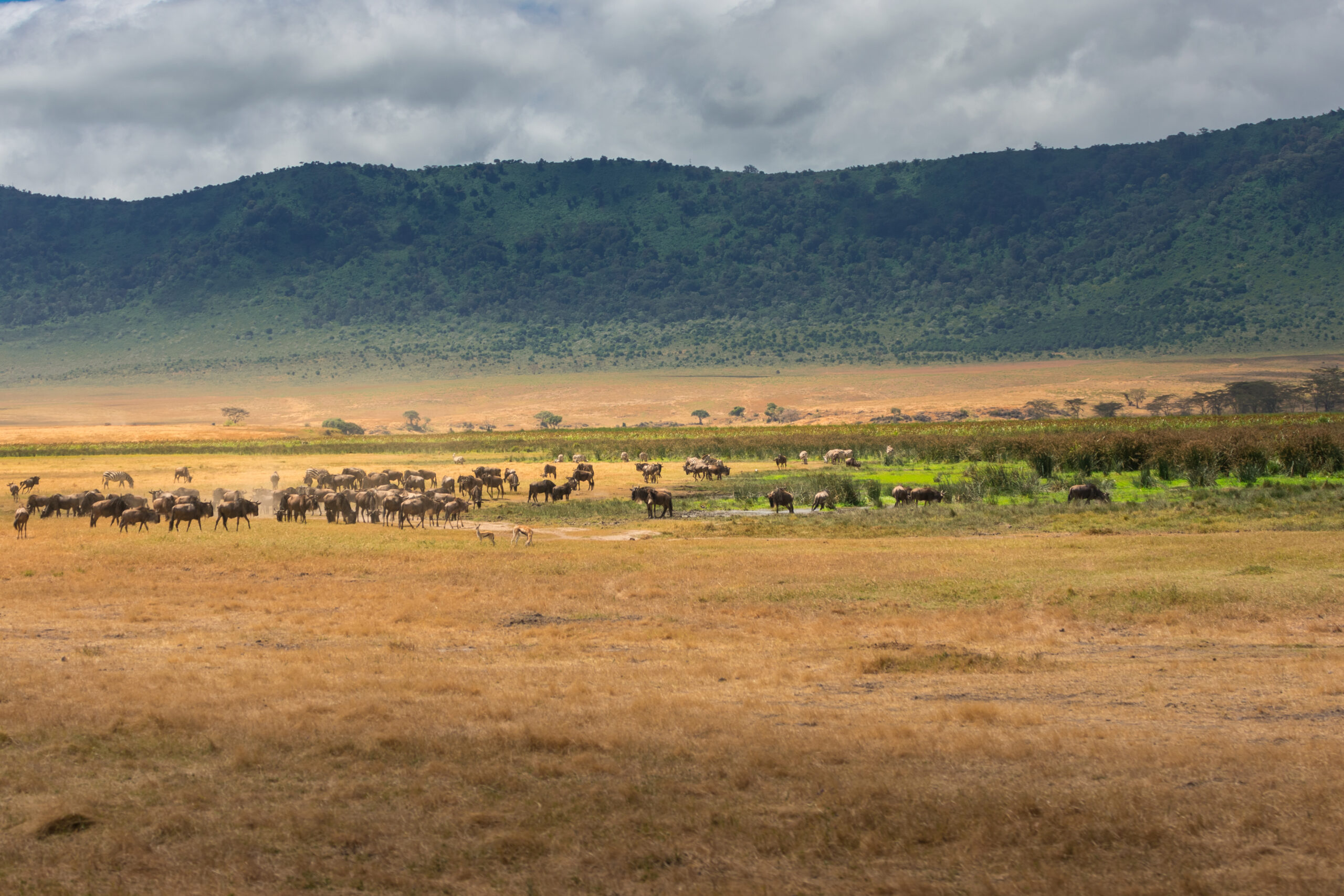 masai mara national park packages