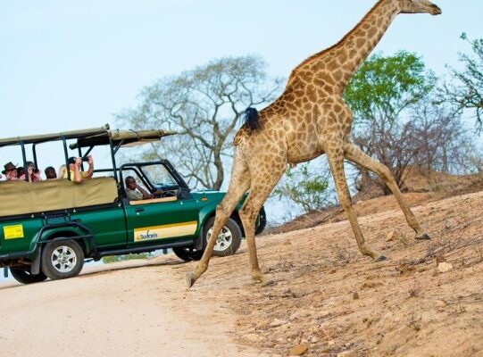Discover Zanzibar’s Untamed Beauty – Safari & Beach Tour zanzibar safari tour