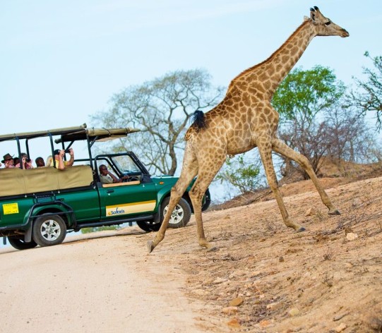 zanzibar safari tour